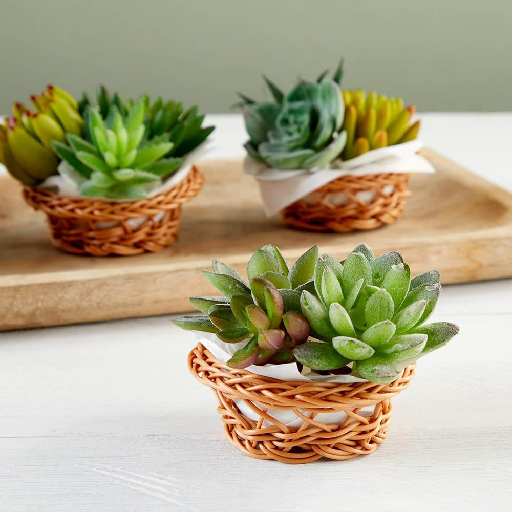 Mini-Geflochtene-Korb-Set - 3, – Woven Basket Set Bewertung und Preis